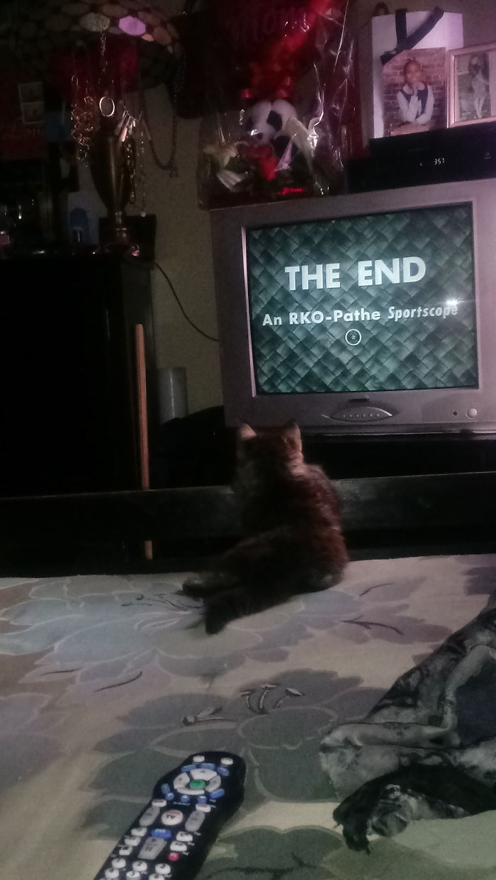 Charlie Likes Watching Tcm