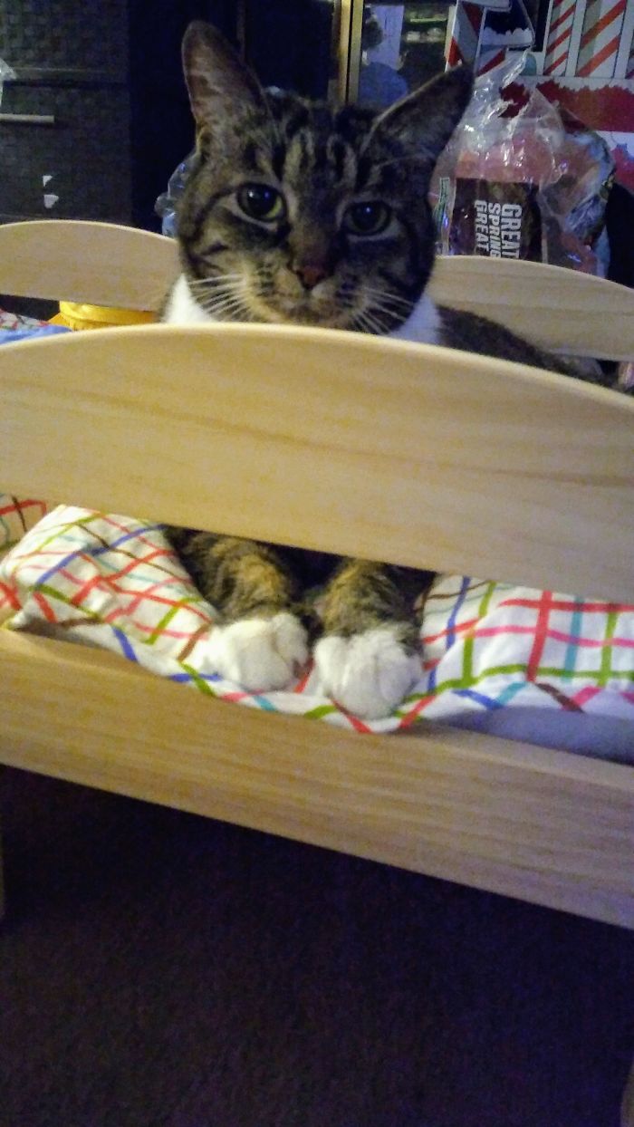 I Think She Likes Her Ikea Bed