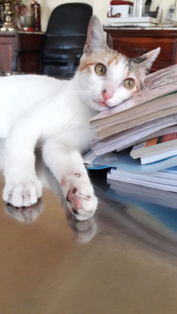 She Was Thinking What This Stack Of Books Is For