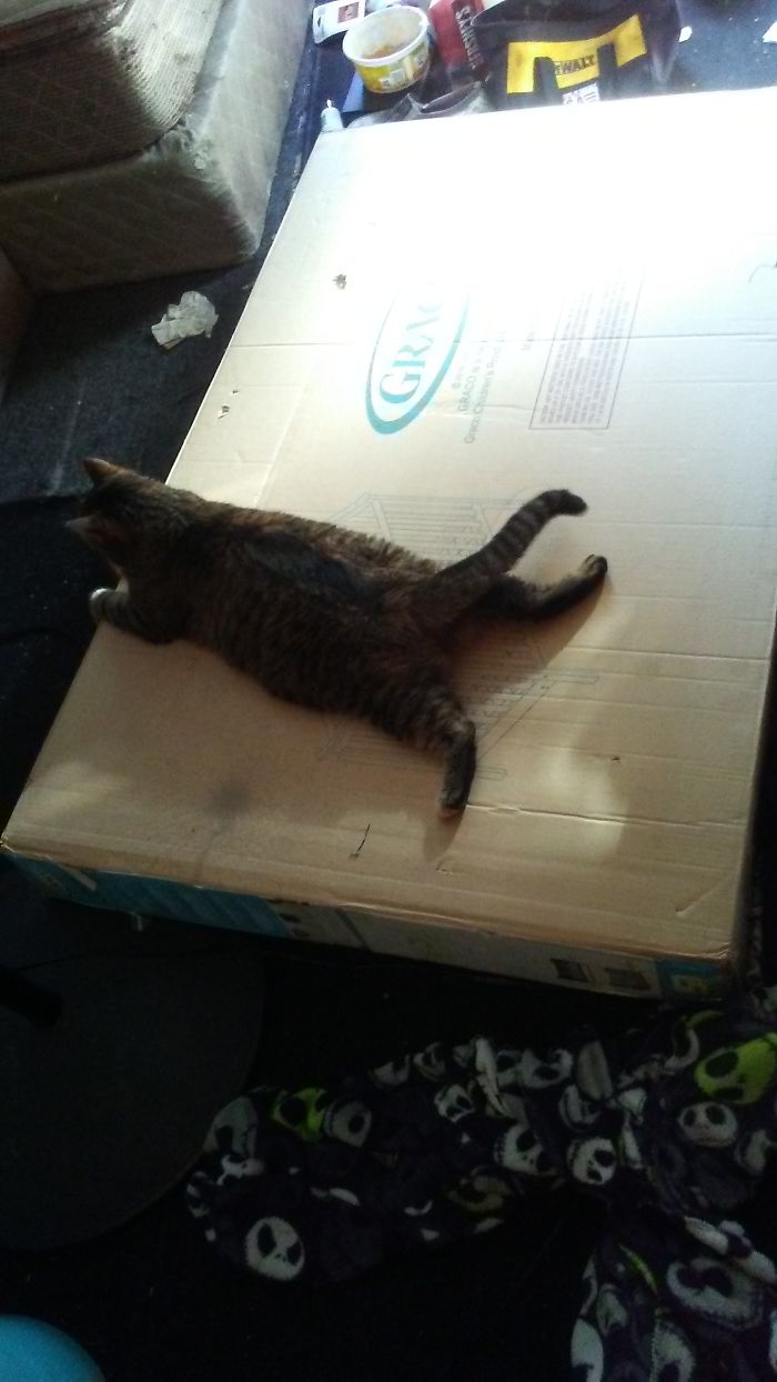 Not Your Bed Cheebles.