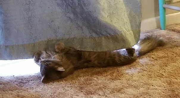 Loves The Sun, But Not In Her Eyes.