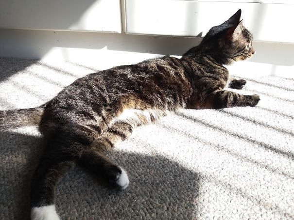 Nyasagi....afternoon Delight