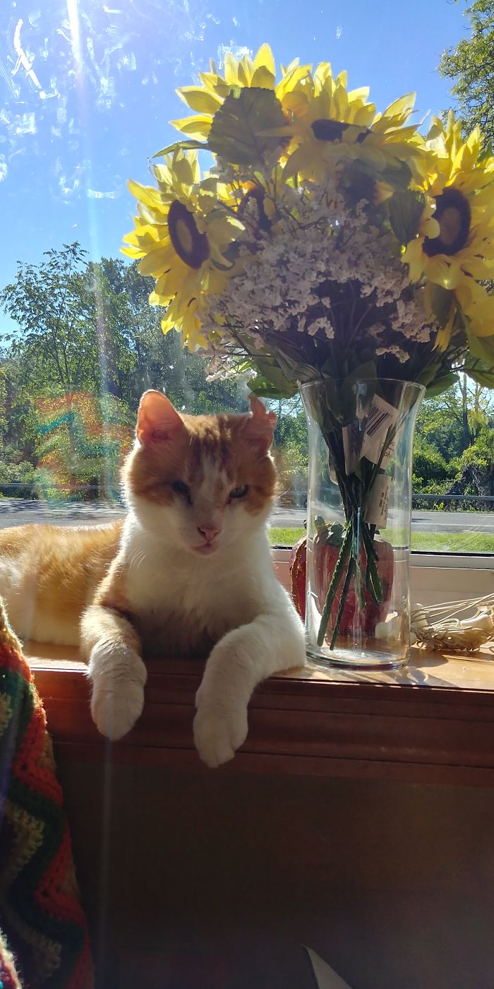 Mator, My One Eyed Rescue, Just Chillin' And Plotting My Demise.