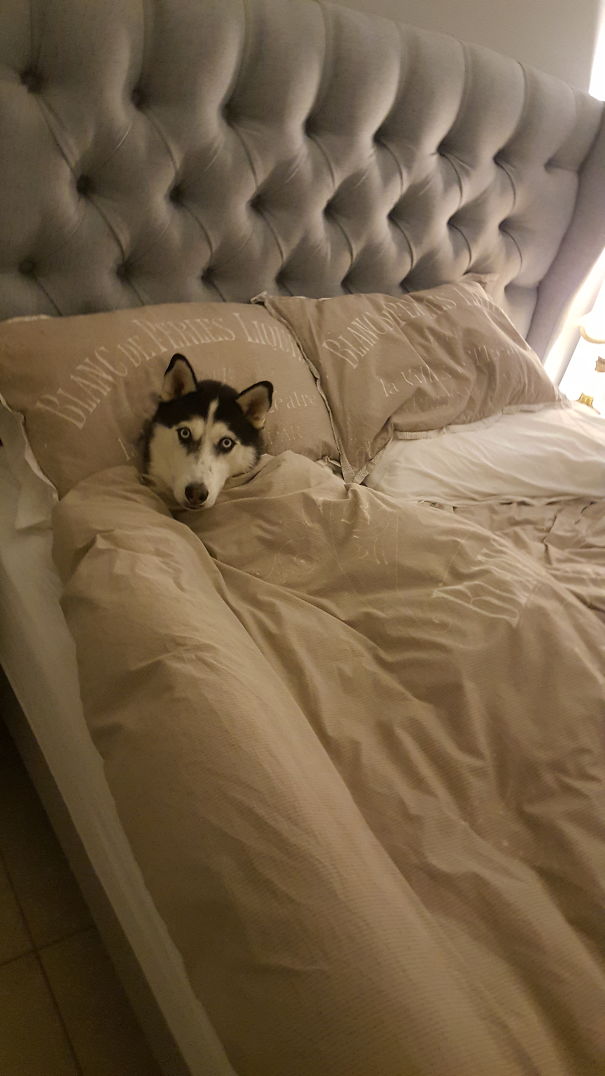 Do You Think Dad Will Be Mad I Stole His Spot?
