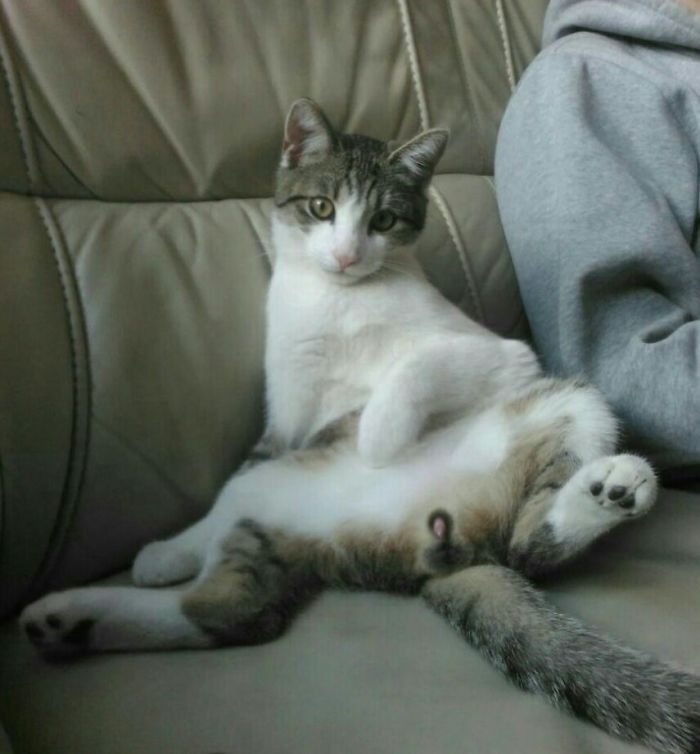 Hangin Out With Paul