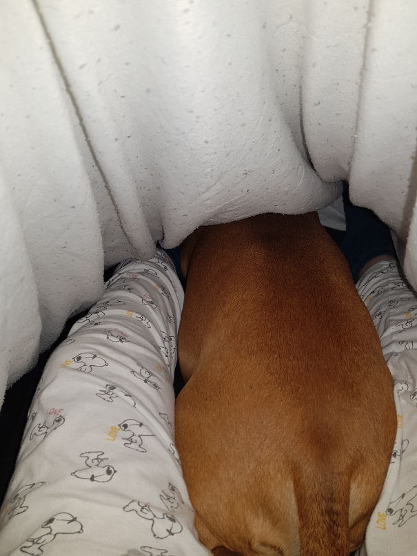 *sigh*...every Night...