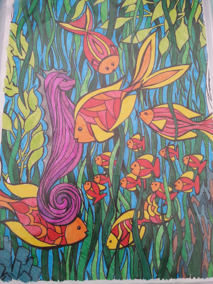 As I Passed By A Pastime To A Passion