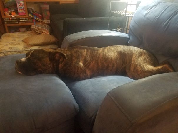 He Wanted To Stretch Out ... And His Legs Disappeared