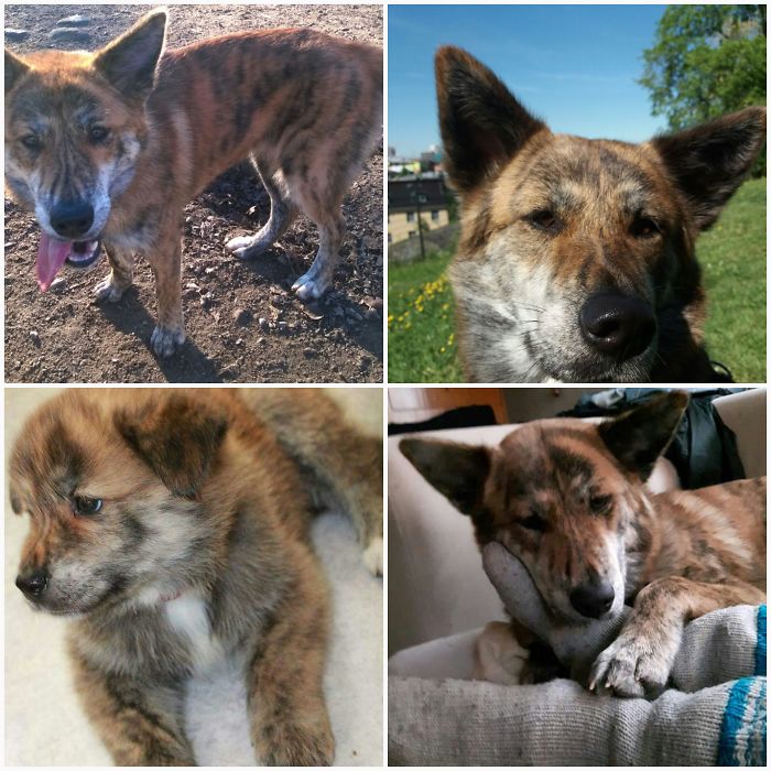 Kiritora From Finland.