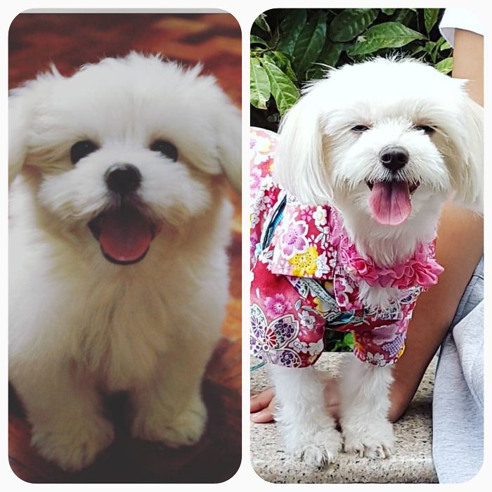 When She Was 3 Months Old Vs Now...she Still Has That Grin Going :))