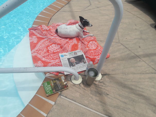 Sadie Getting Ready For Afternoon Plunge