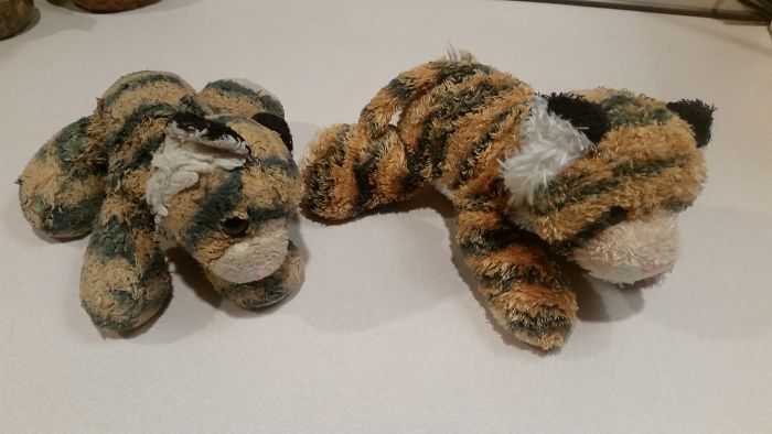 On Left, My Daughter's Nightly Companion For Eight Yrs. On Right, A Twin She Rec'd Six Months Ago That's Also Getting Lots Of Love.