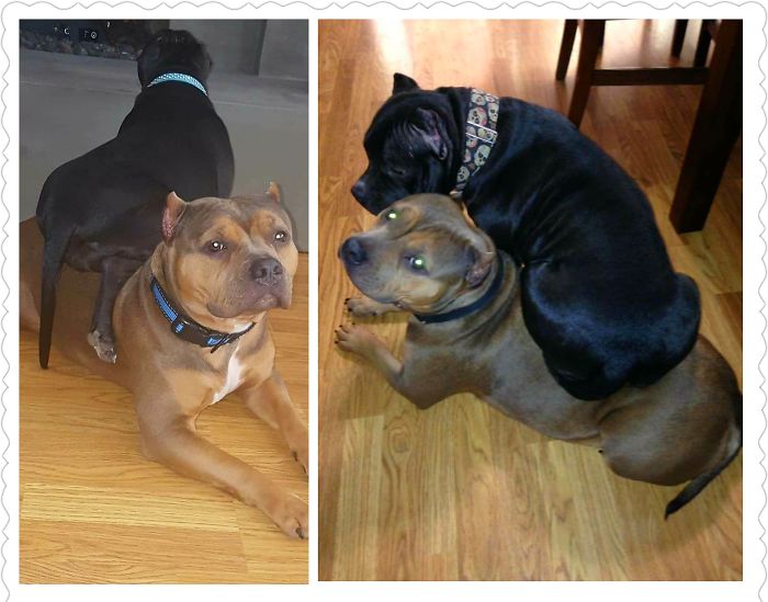 Pillow At 4 Months And A Year. Always Sitting On Mom