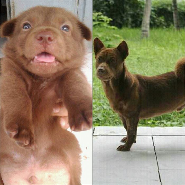Cokat. 3 Weeks Vs 1 Years