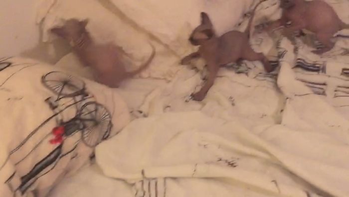 But Mooooommm I’m Not Tired Yet, I Don’t Want To Go To Bed