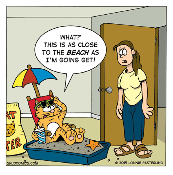 Comic strip featuring a cat lounging in a litter box with sunglasses and an umbrella, humorously referencing the beach.