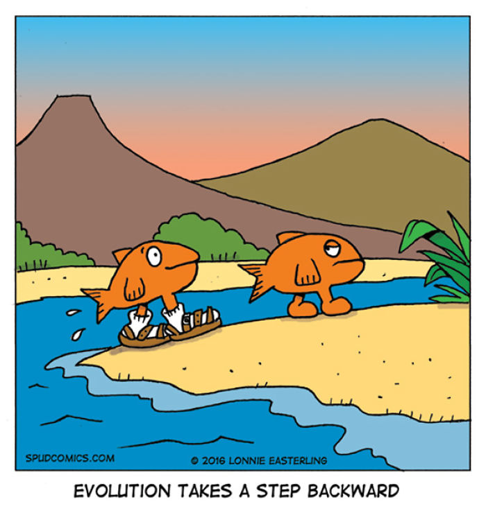 Funny comic strip from Spud Comics showing fish evolving walking legs and wearing sandals by a riverbank at sunset.