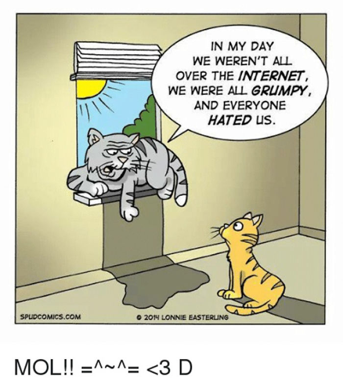 Two cats in a funny comic strip, one grumpy cat on a windowsill talking to a younger cat below.