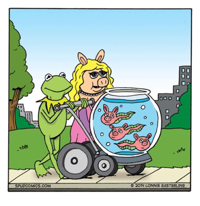 Cartoon frog and pig characters pushing a fishbowl on a stroller in a colorful outdoor comic strip scene.
