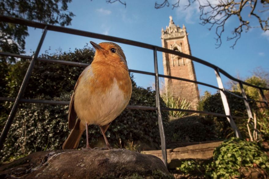 Round Robin, Bristol, Uk
