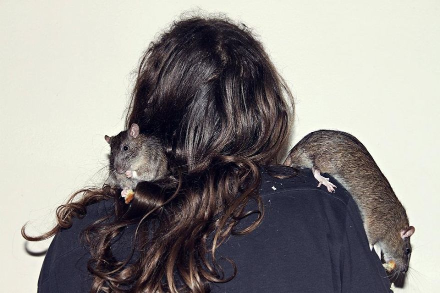 Love Making Faceless Portraits