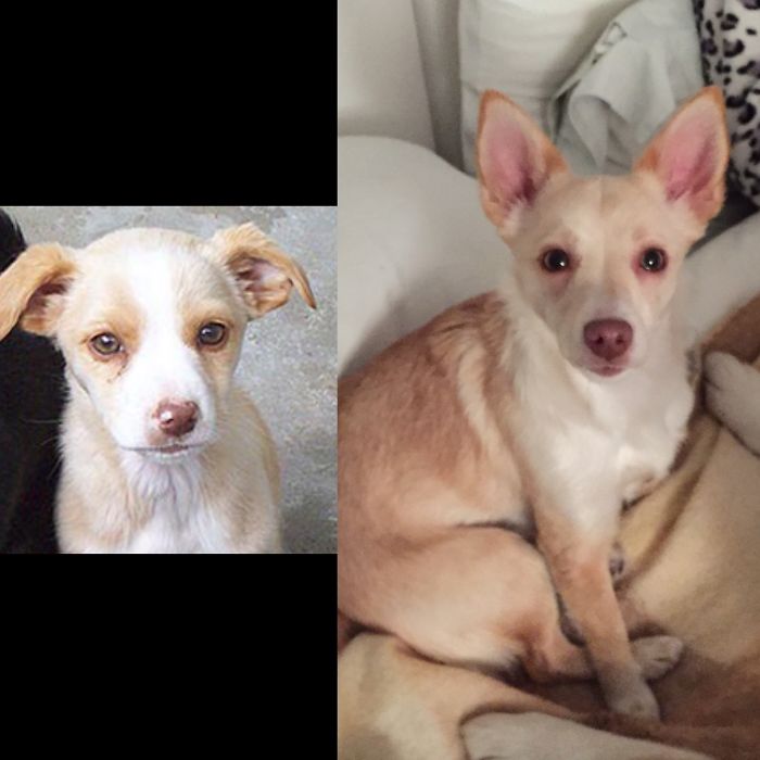 My Little Monster Mia, 2 Months And 2 Years