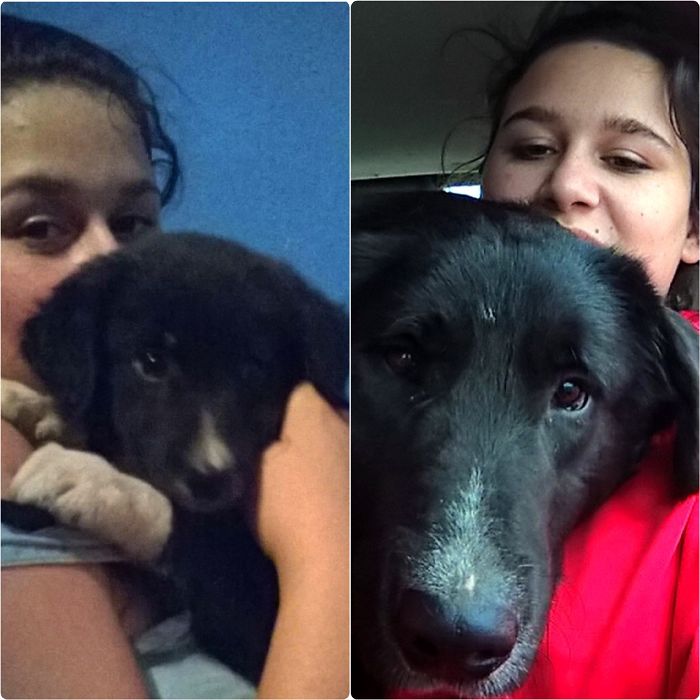 Say "hello" To Sam! This Happend In One Year.