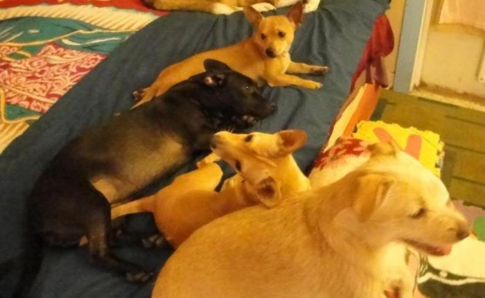 All Grown Up - 4 Of The 6 Girls Never Left