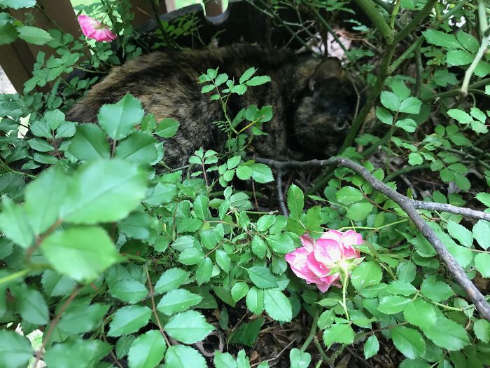 Every. Single. Time.