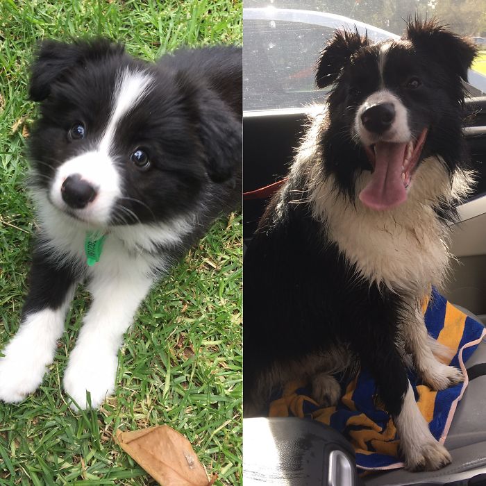 Matilda 10 Weeks And 10 Mths