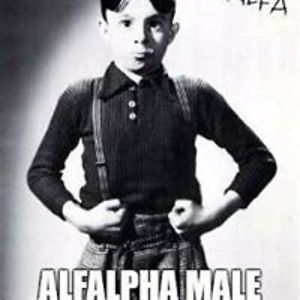 freeronniedobbs avatar