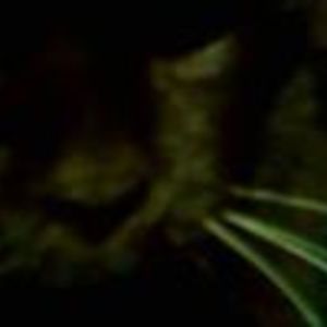 malgorzata_zawila avatar