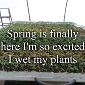 stephaniadawn avatar