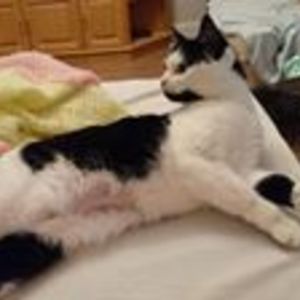 kathrynj12345 avatar