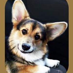 galapalos_green avatar