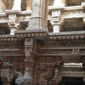 phaedragorgon avatar