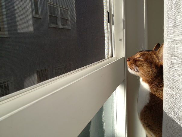 Enjoying The Rising Sun 