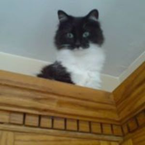 maguire_elaine avatar