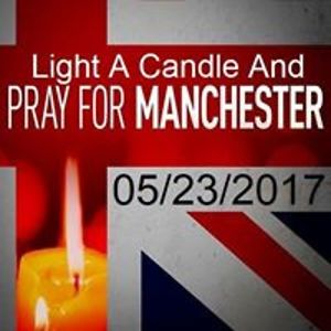 marcellaperleberg avatar