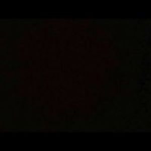 dreamsofharlequin avatar