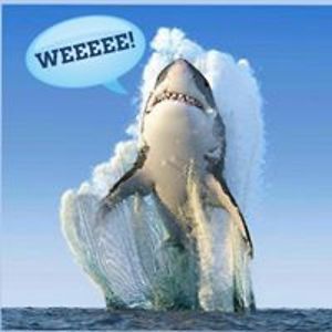 karen_frazier avatar