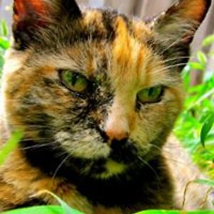 facebookfriends306 avatar