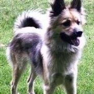 newacct556041 avatar