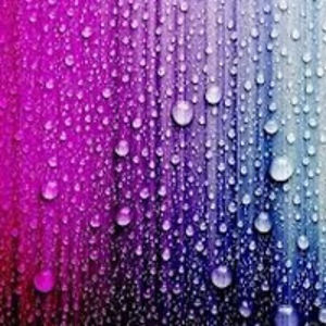 alexawesterdale avatar