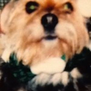 geraldinergray1 avatar