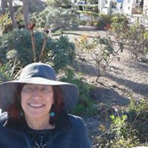 gaylejacobson avatar