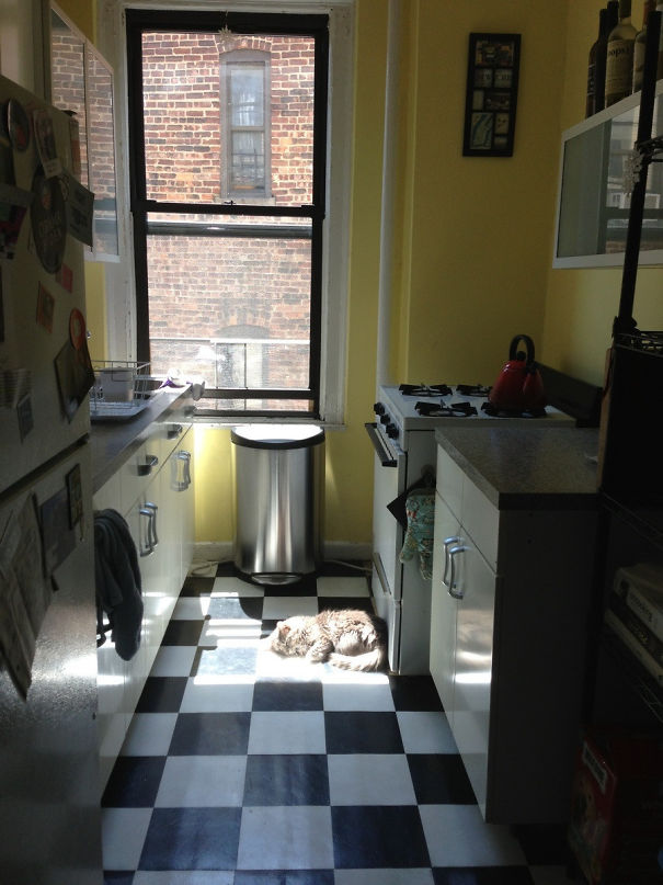 He Found The One Patch Of Sun In My Dark, Nyc Apartment