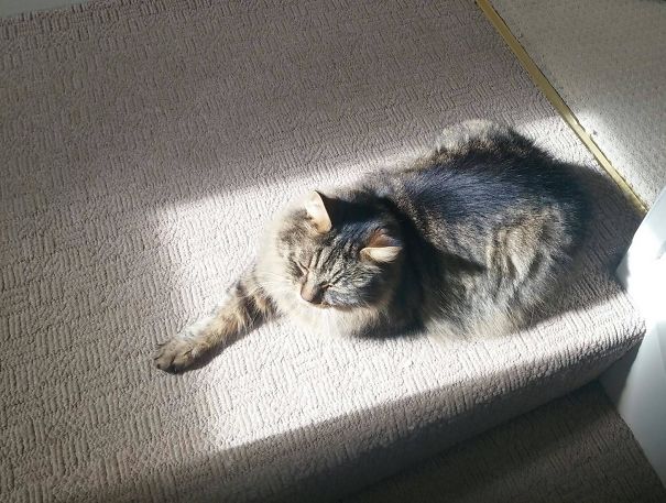 Where The Sun Hitz I Sitz