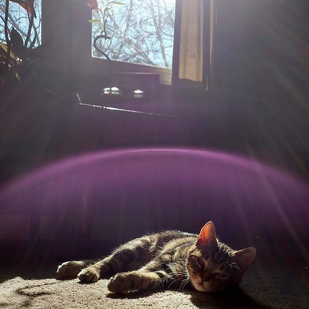 Popeye And His Magical Sun Screen