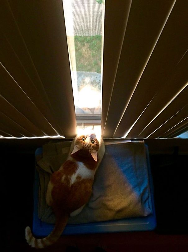 Good Morning Sunshine